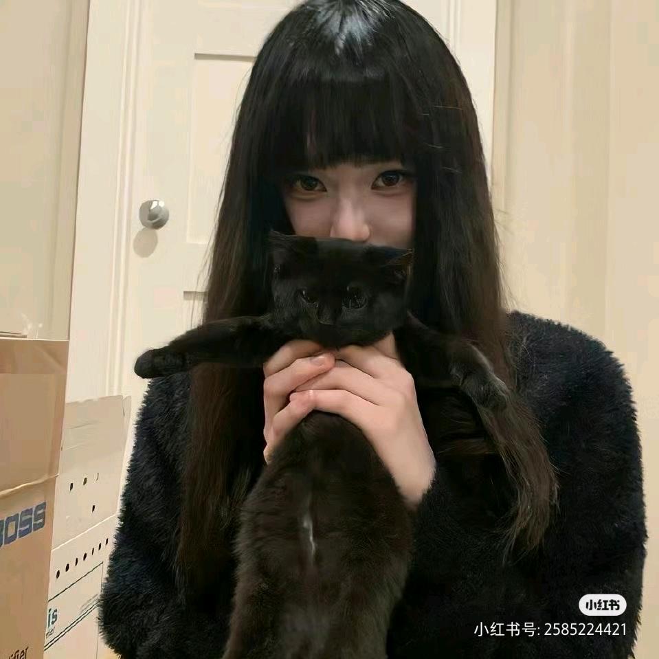 香菜🐶洞