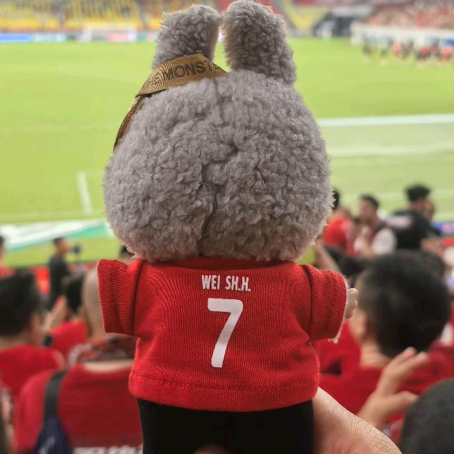 实况足球⚽️绿鱼头
