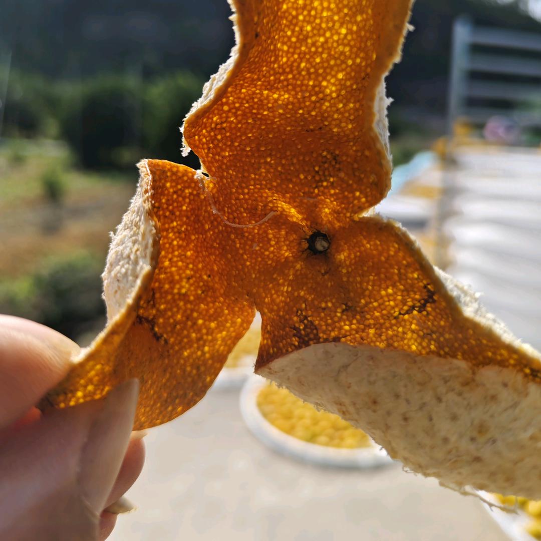 御香柑果园