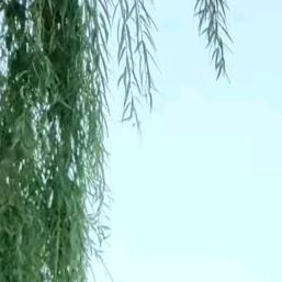归零糕