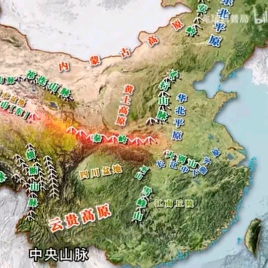 鼠标