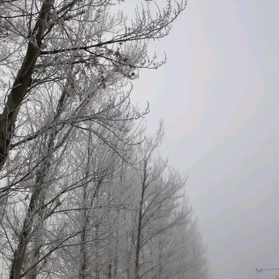 暂停服务