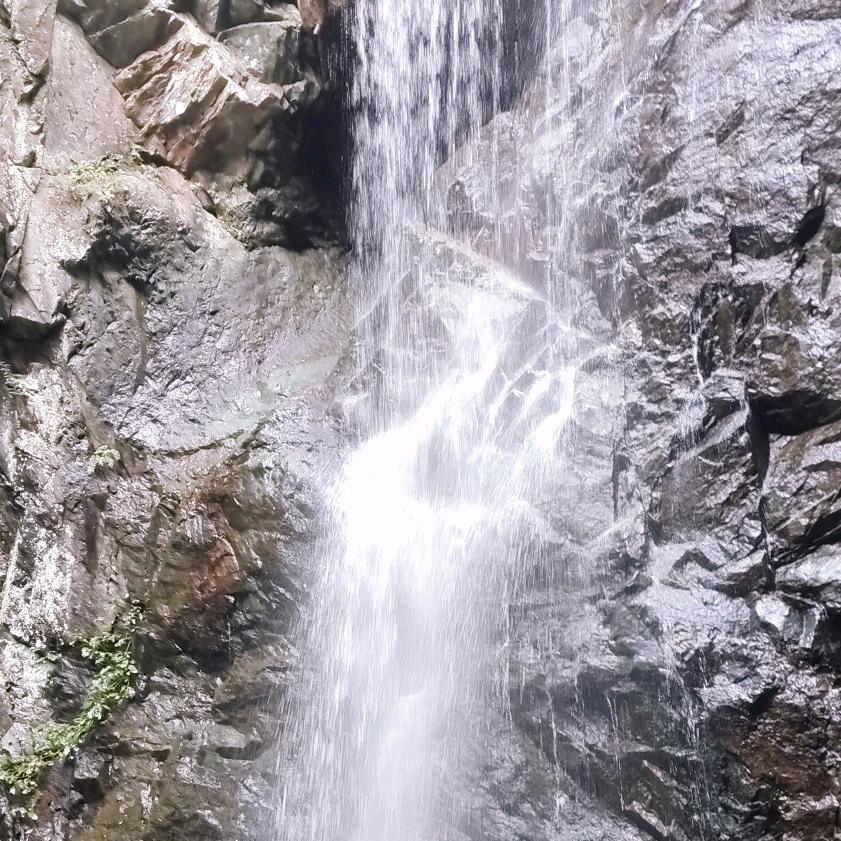 搬砖中《互关涨粉》中