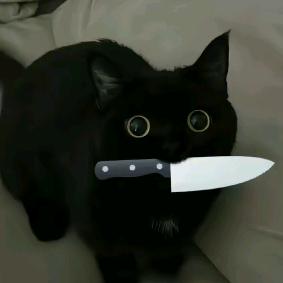 炧霖ooo