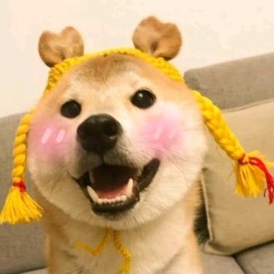 _珠珠头像