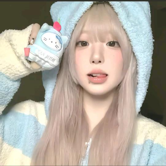 ʚ呆呆💤