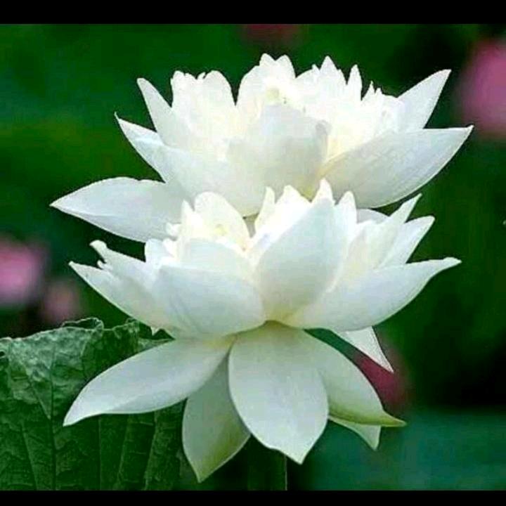 用户89136815602，