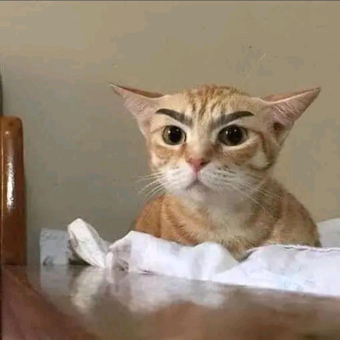 唯.
