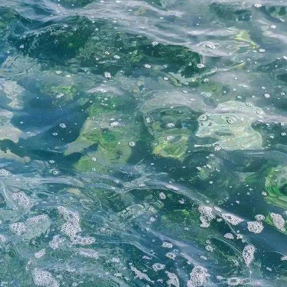 流氓