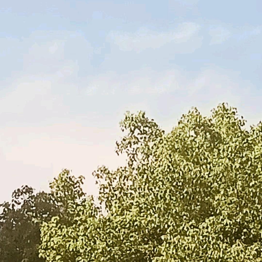 李先森