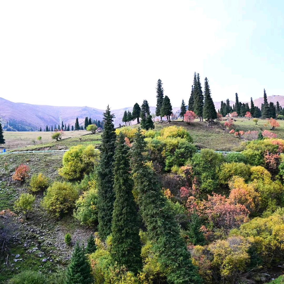 余生૮₍˃̶ꇴ˂̶₎ა谋财