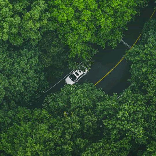 低调做人🍷（一切随缘）🍷