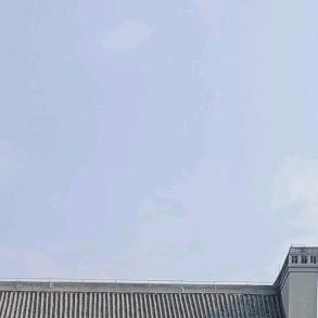 雪连