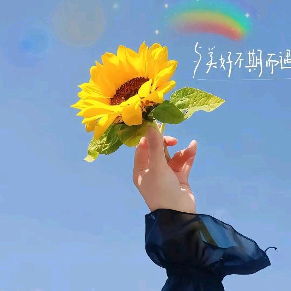 💫初心💫✨