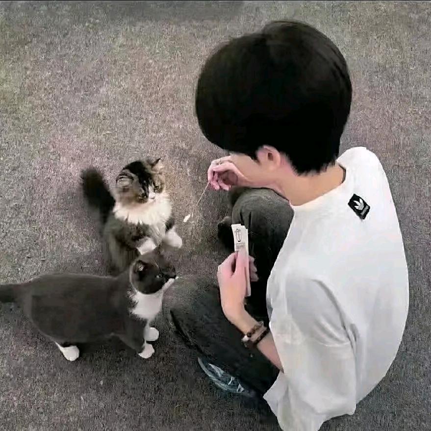 只玩喷子的小陈