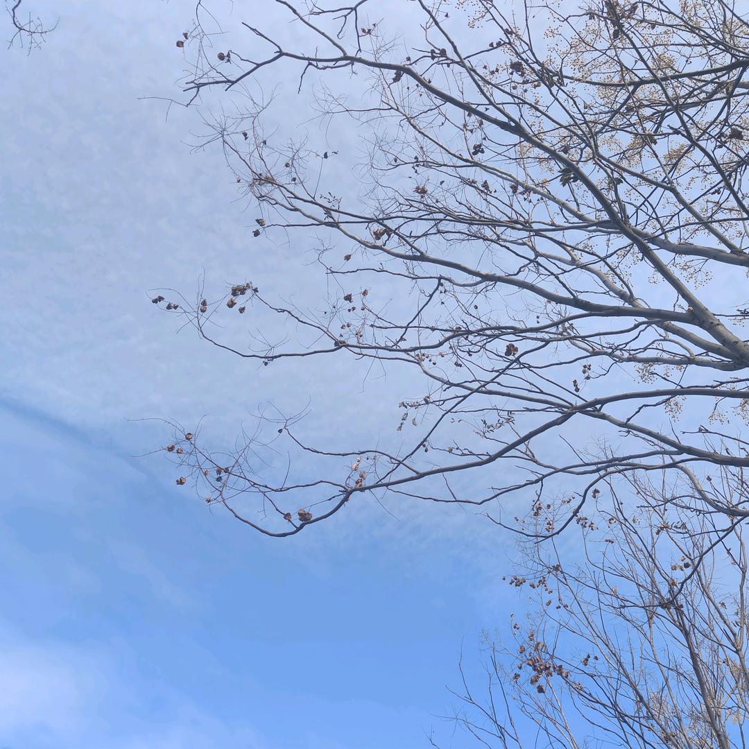 雪花糕