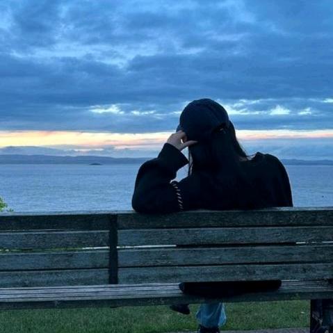 ༺💫新生✊之翼💫༻