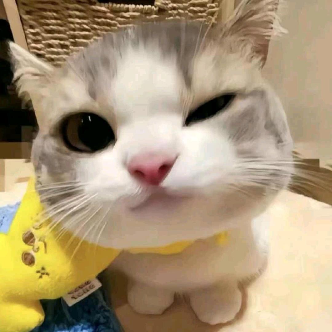 不吃葱的车厘子