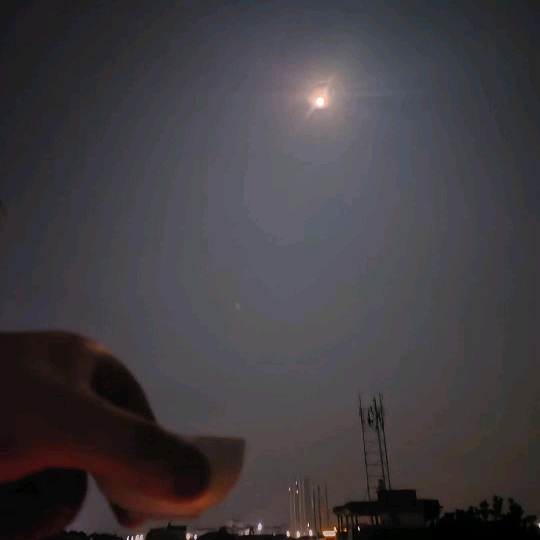 子正