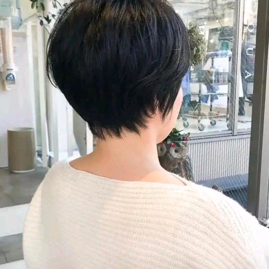 蔷薇