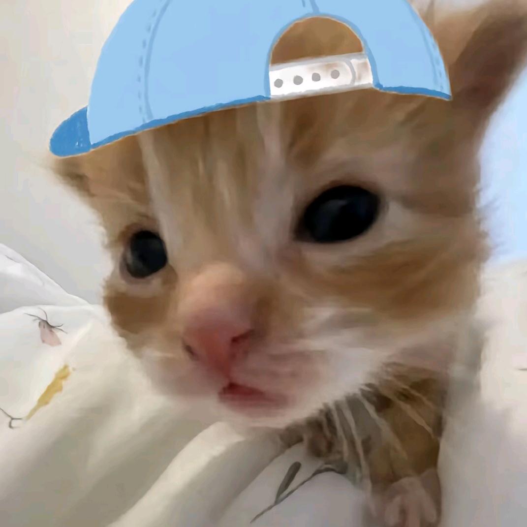 史上最弱钝子生