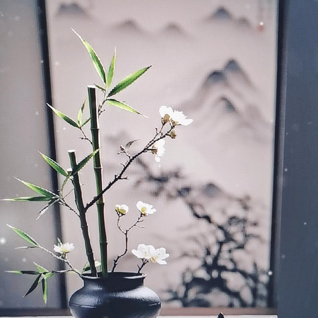 叶嘉傅