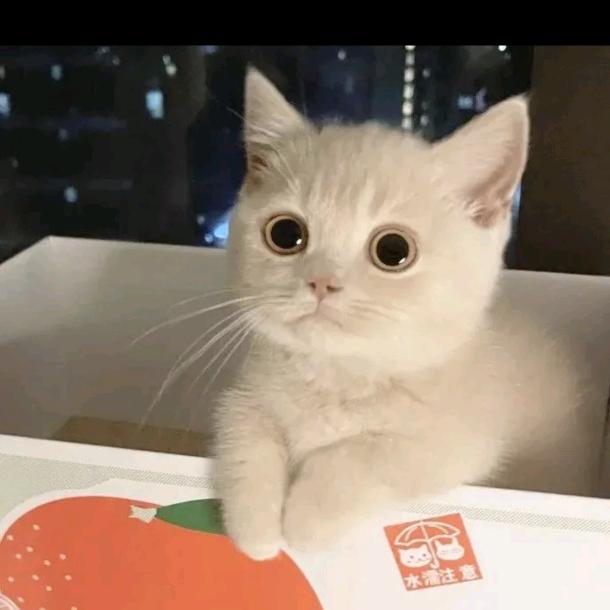 敏慧