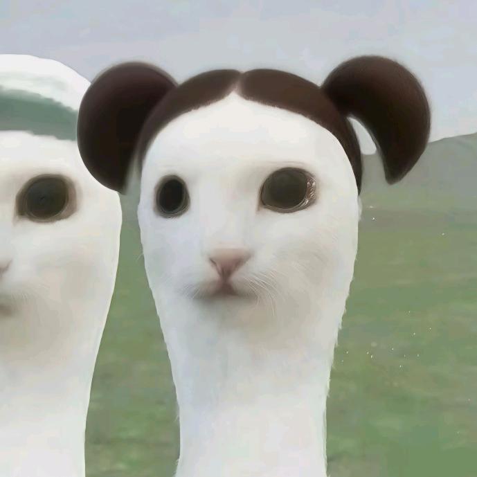 我处理不好一切。