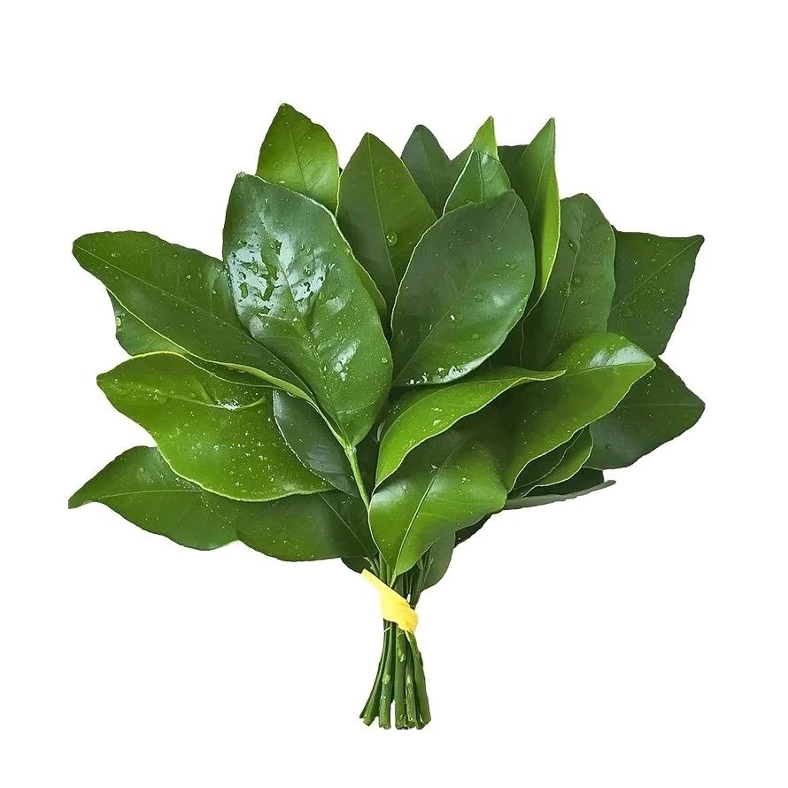 你的名字很好记