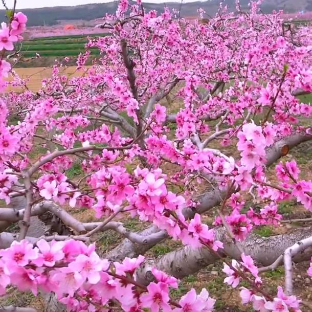꧔ꦿ᭄💞任你远行᭄࿐
