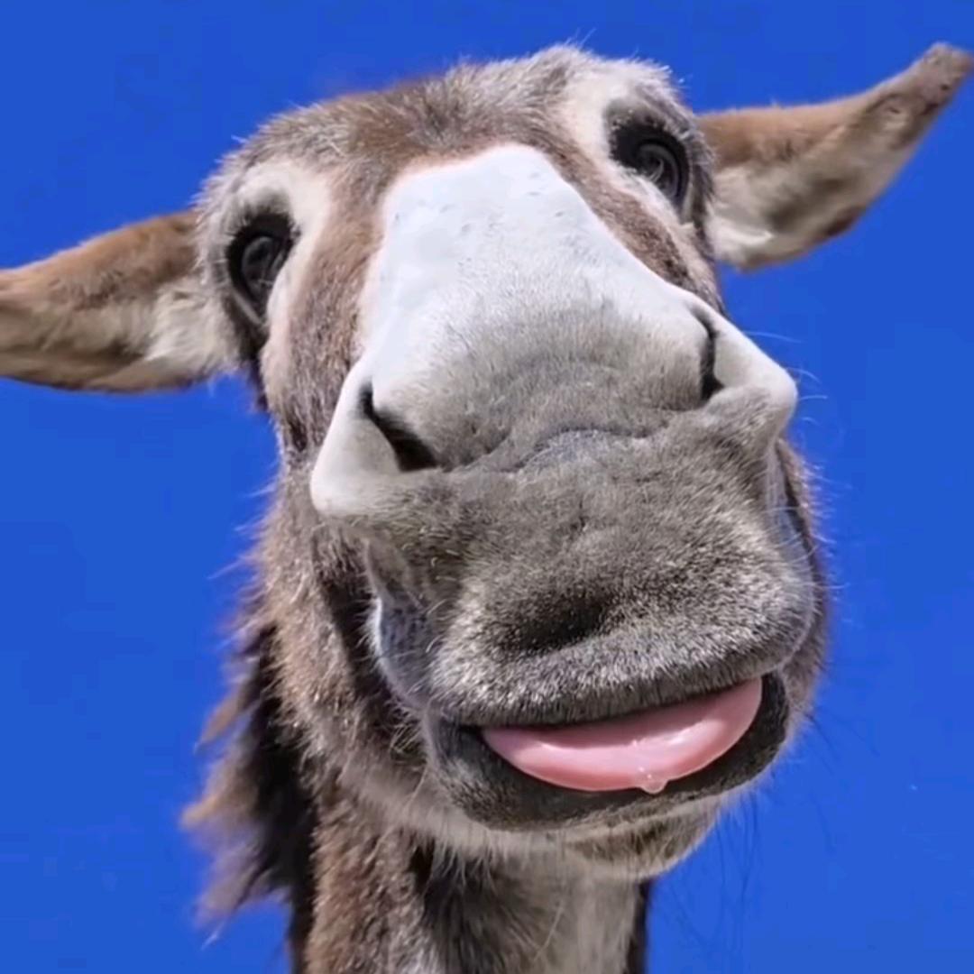 不抽香烟（中职升大专）