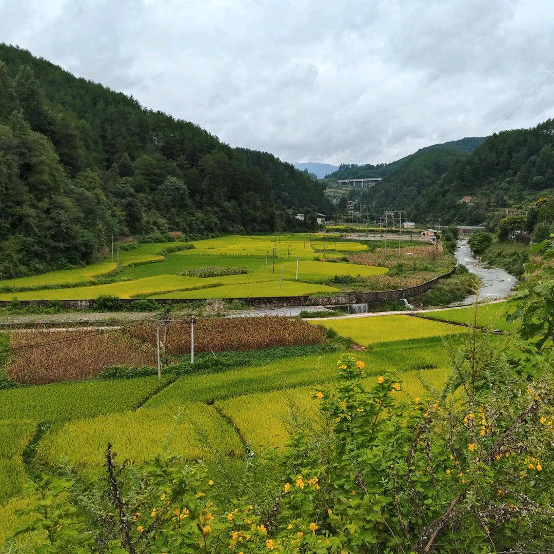 康驰运动