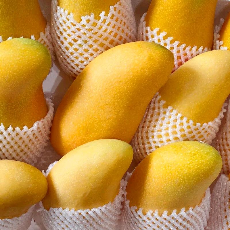 爱恨情仇放一边