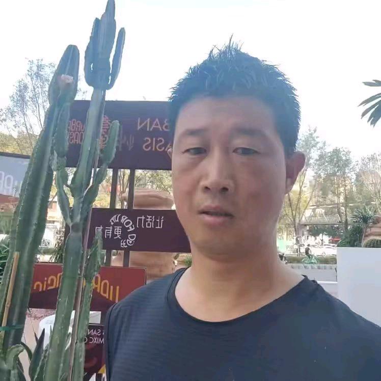 辽宁言哥