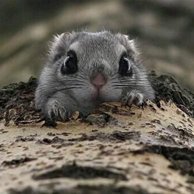 我有故事，你有酒吗？