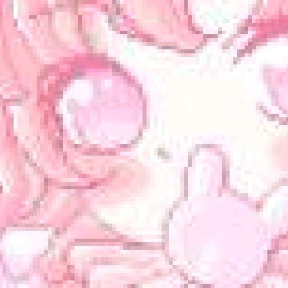 笑嘻嘻的水塔凤梨