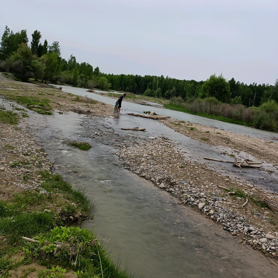 生活欠我一个拥抱