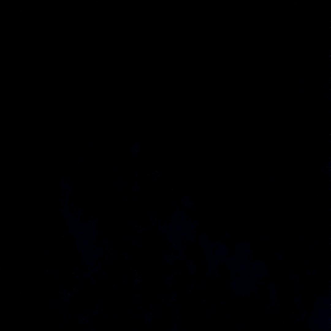 456123123