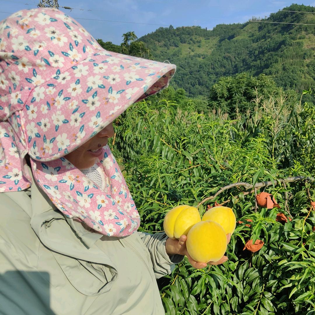 恒丰汇源家庭农场