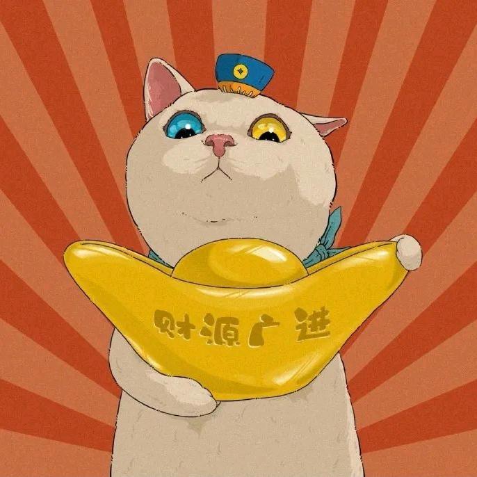 一只土猫
