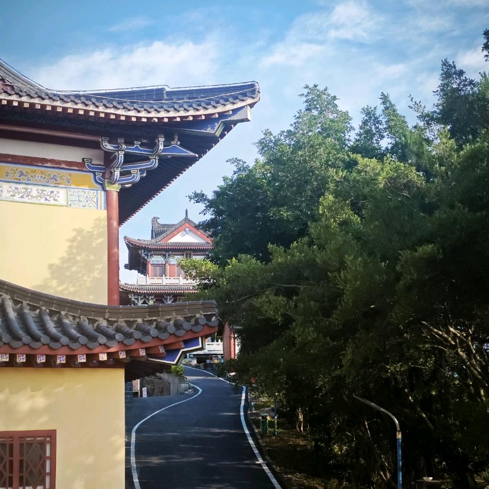 路悠悠