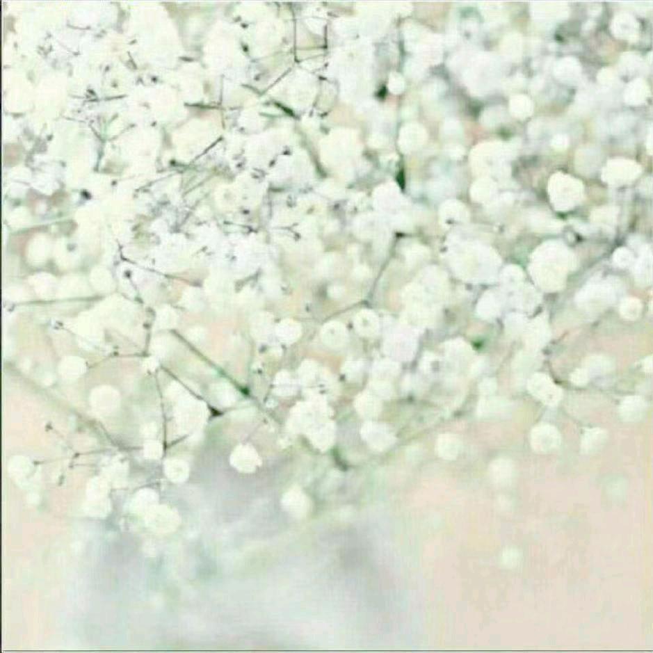 陈陈陈娟儿