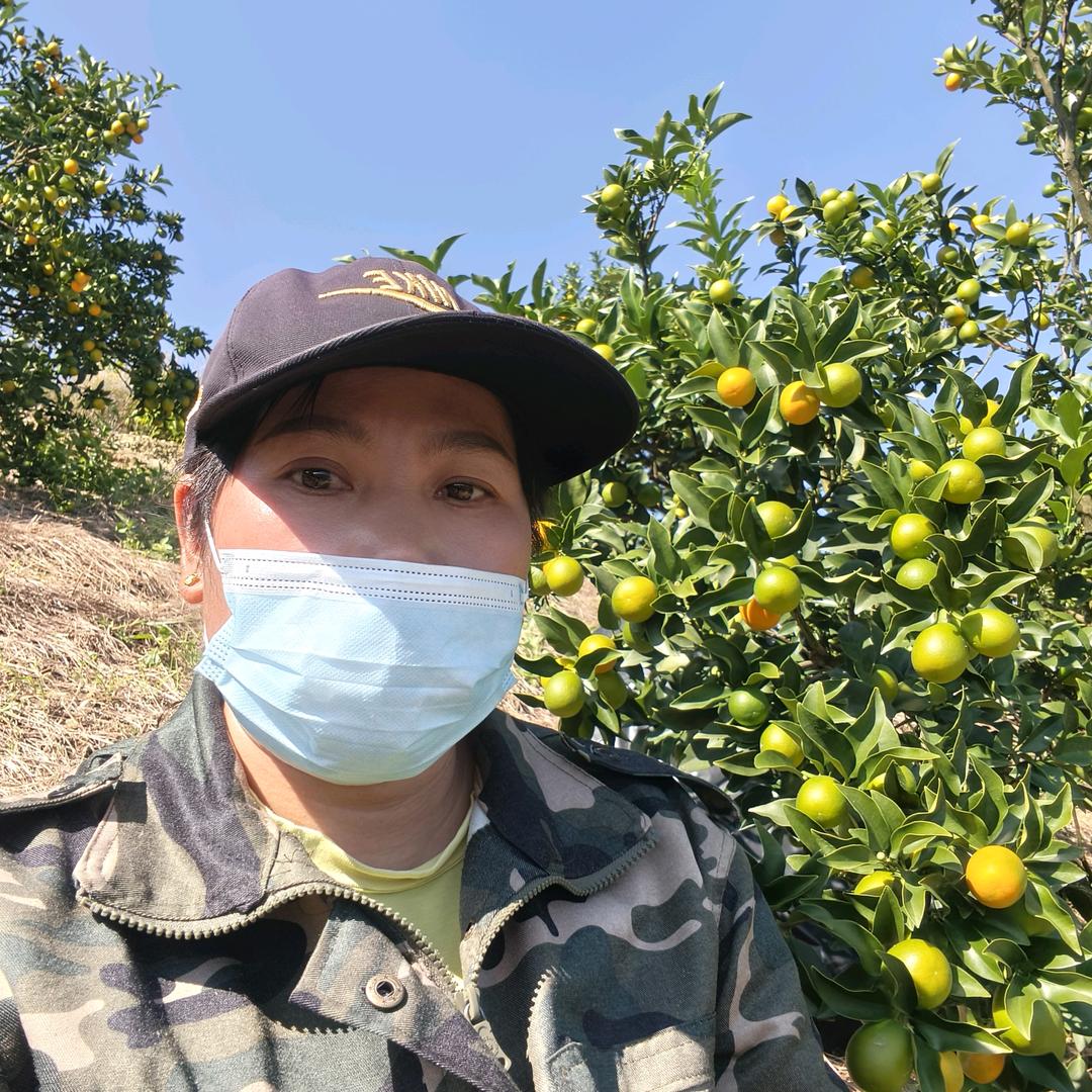 1. 好滋味金桔铺