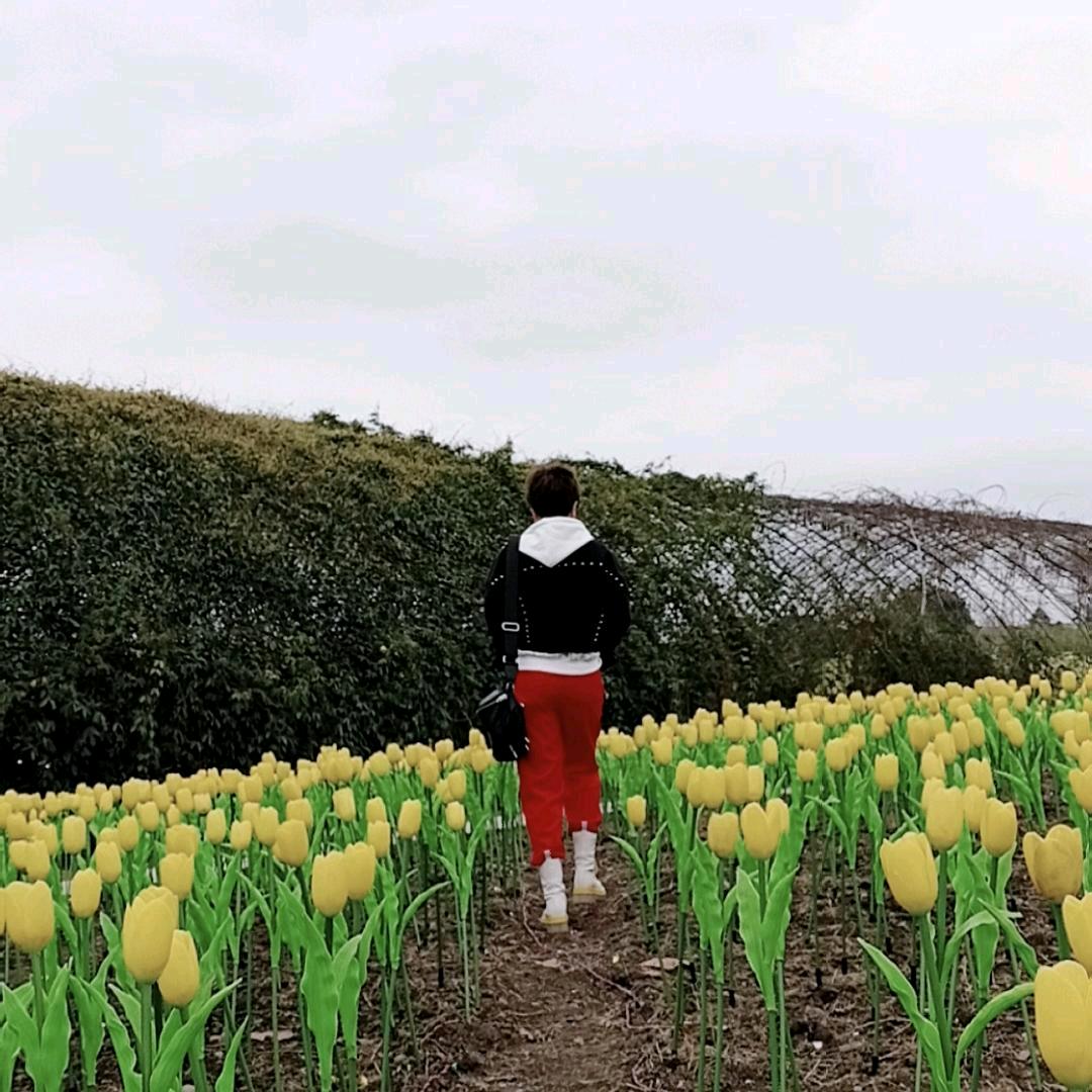 美丽明天