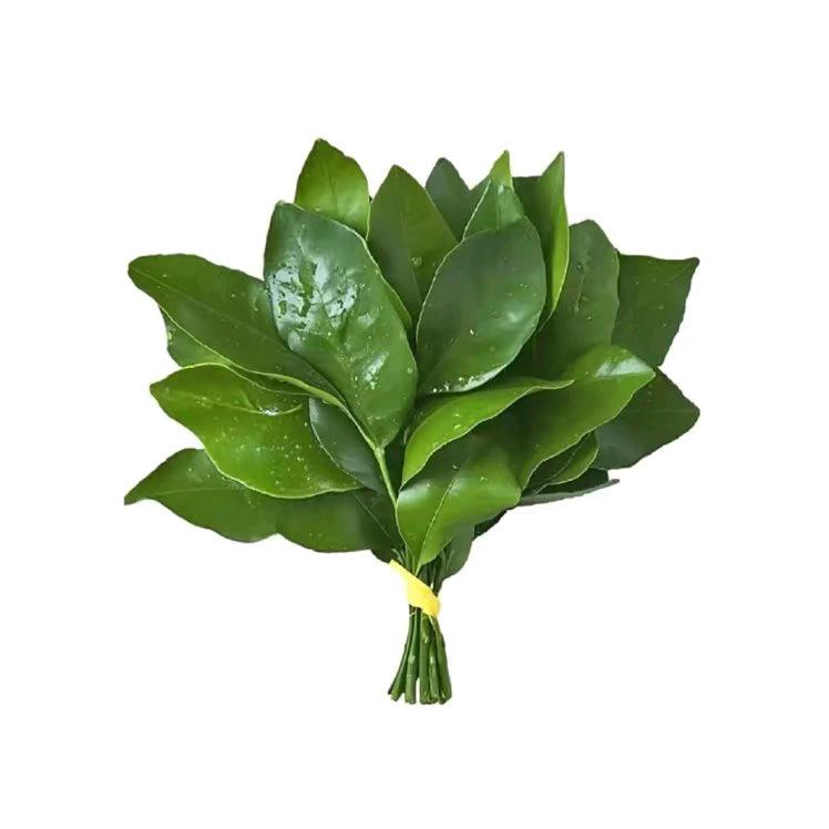 香菜泡饭🌿