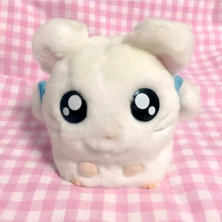 你夏季芭乐啥呢