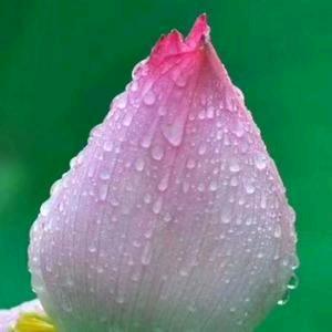 《语过添晴》