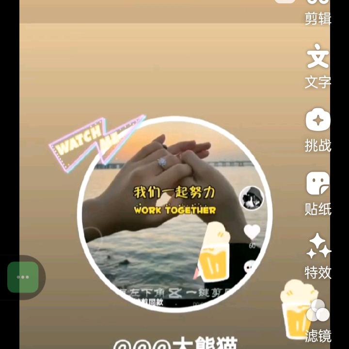 @@@大熊猫