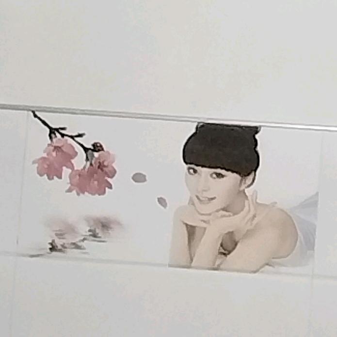 蕾蕾