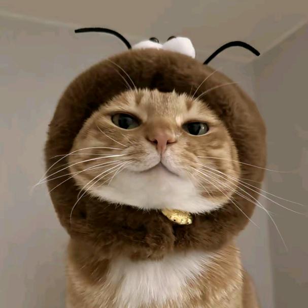 小杨